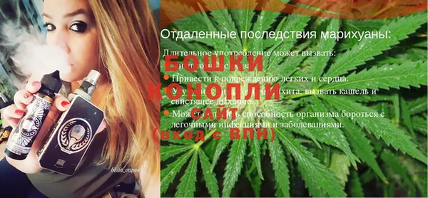 PSILOCYBIN Алзамай