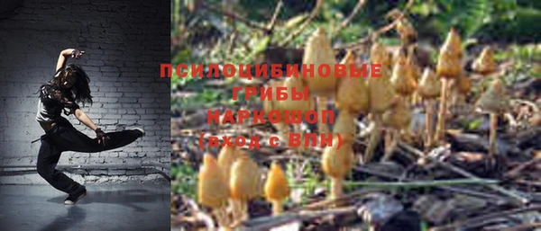 PSILOCYBIN Алзамай