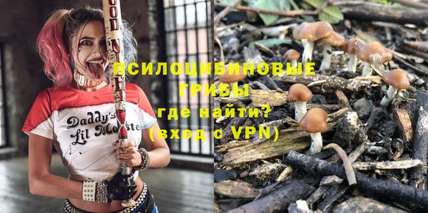 стафф Абдулино